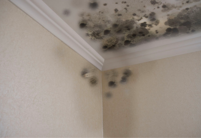 picture of mold damage to ceiling and walls for NAV Restoration